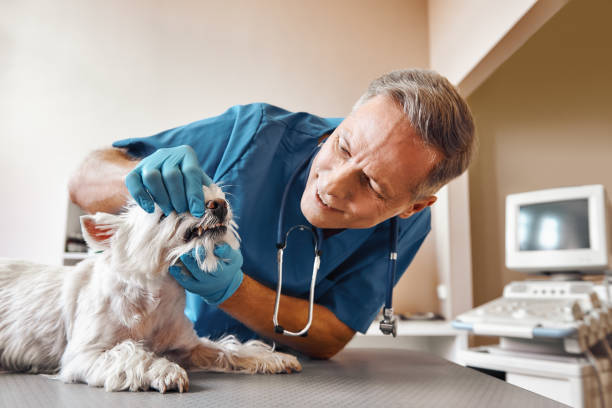 Best Emergency Tooth Extraction in Bartlett, TX
